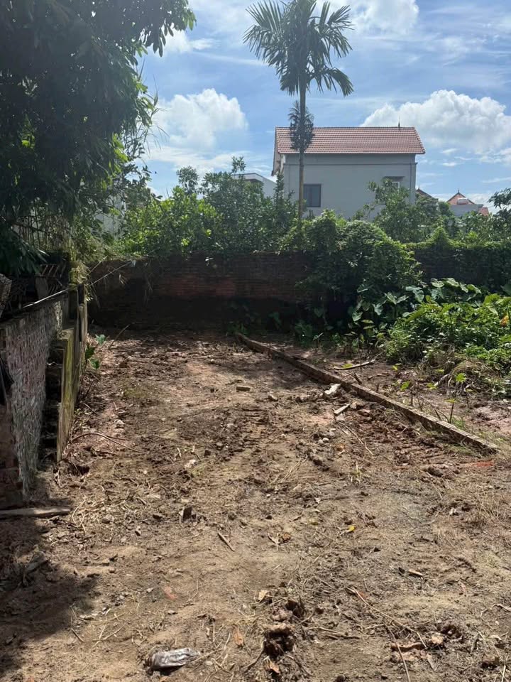 Đất 40m² tại Tân Phú, Quốc Oai - Giá chỉ 2.65 tỷ, thuận tiện giao thông!