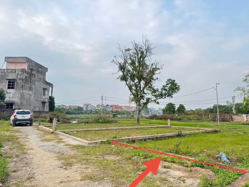 Đất nền Quang Minh Mê Linh 70m² giá 2 tỷ - Đường ô tô vào tận nhà!
