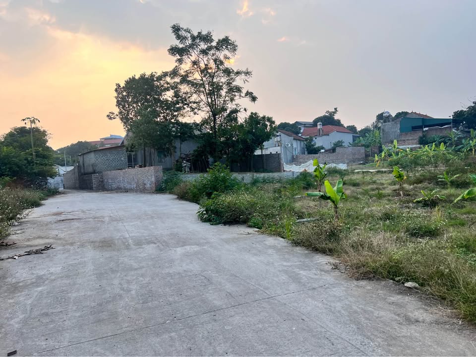 Đất thổ cư Hương Canh, Bình Xuyên 93m² giá 1.1 tỷ - Đầu tư sinh lời ngay!