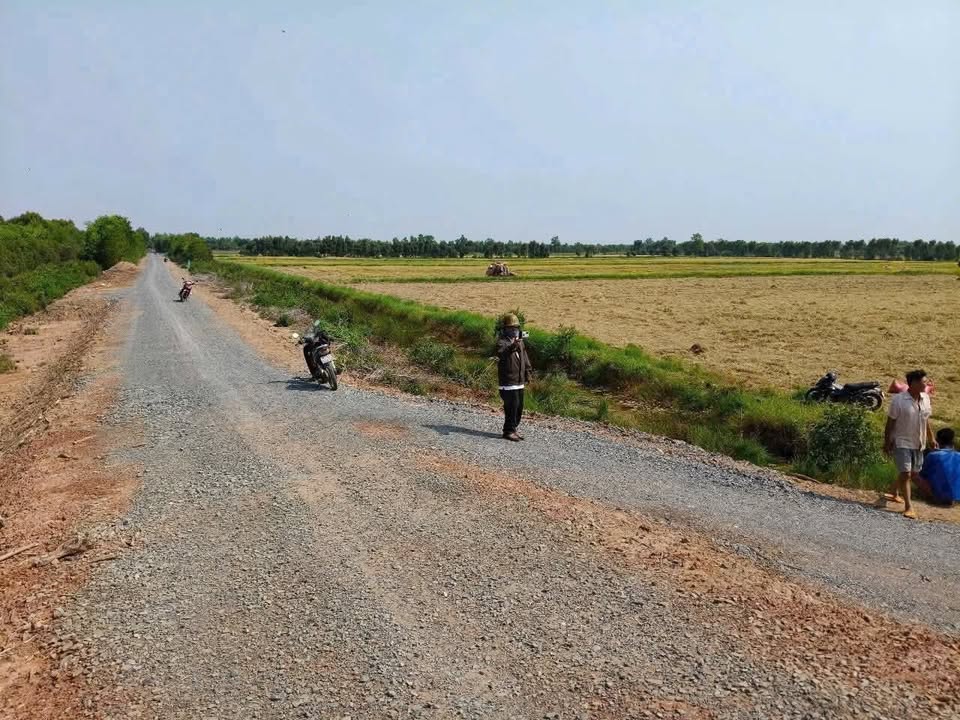 Đất nông nghiệp 4,3 mẫu tại Mỹ Bình, Đức Huệ - Giá chỉ 1.995 tỷ, cơ hội đầu tư hấp dẫn!