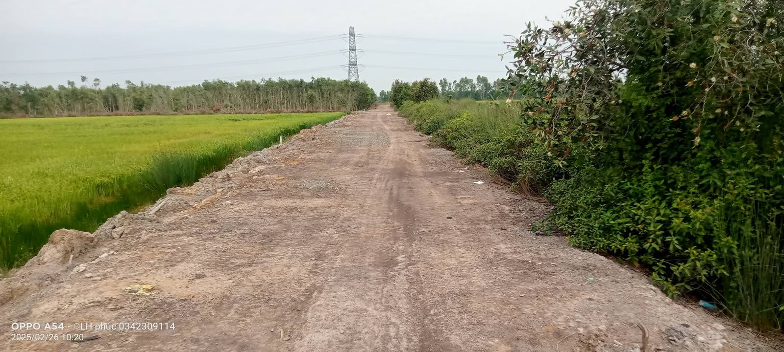 Đất nền Bình Hòa Nam, Đức Huệ 2.109m² giá 1.15 tỷ - Đầu tư sinh lời cao!