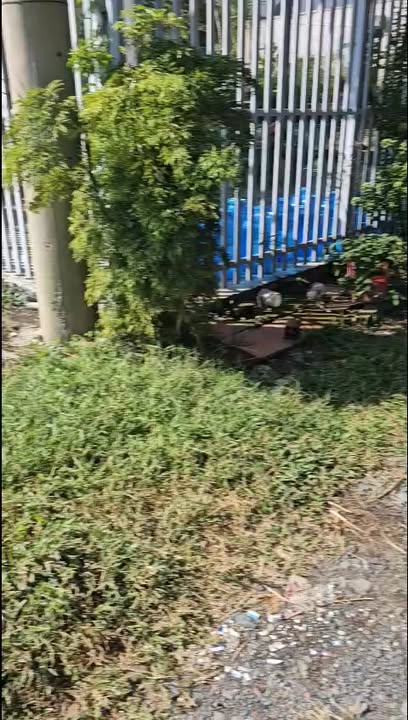 Đất nền Tràm Lạc, Đức Hòa, Long An 125m² giá 800 triệu - Sổ đỏ chính chủ!