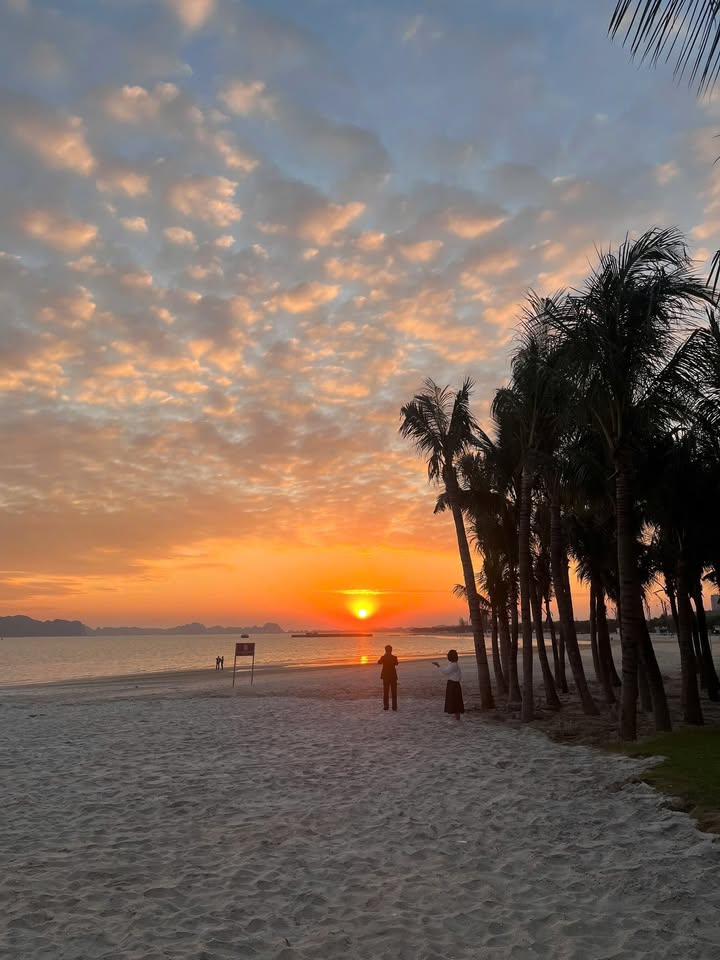 Căn hộ Studio 30m² tại Bãi Cháy - Giá 1.5 tỷ - Đầu tư sinh lời ngay!