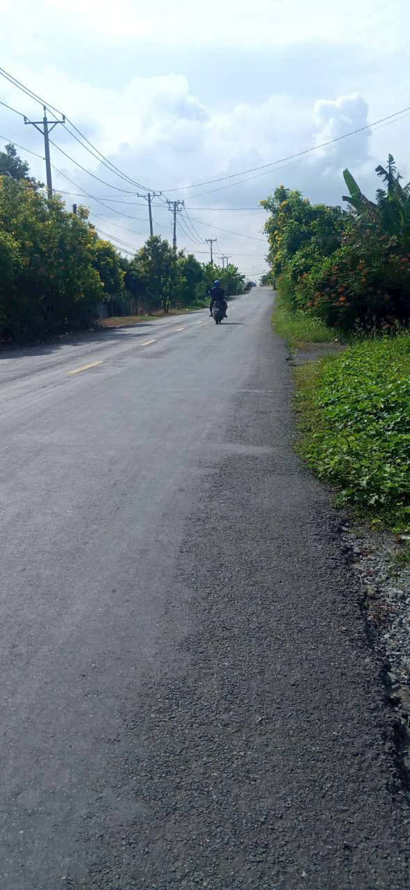 Đất nền mặt tiền đẹp tại Bình Hòa Nam, Đức Huệ 647m² giá 1.2 tỷ - Cơ hội đầu tư hấp dẫn!