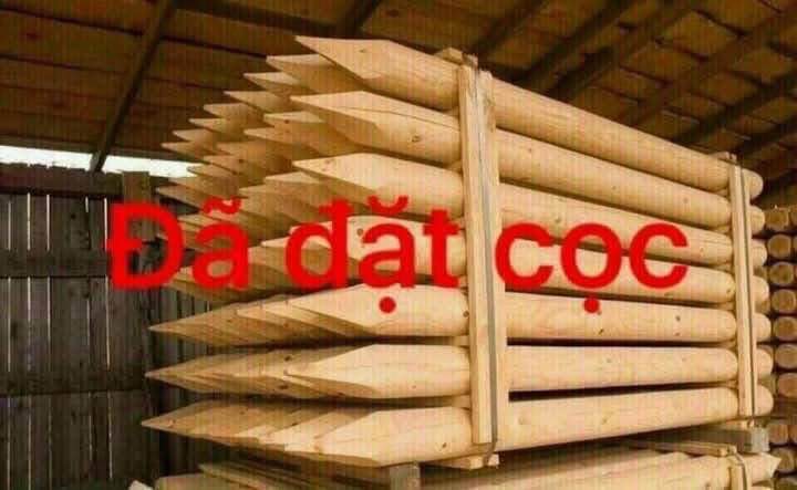 Đất nền Thắng Cựu Phú Xuân 42m² giá 9xx - Chính chủ bán gấp, ô tô đỗ cửa!