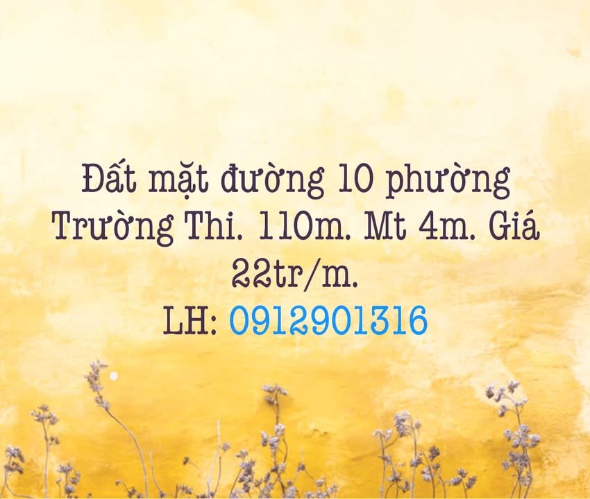 Đất mặt đường 10 phường Trường Thi 110m² giá 2.42 tỷ - Cơ hội đầu tư tuyệt vời!