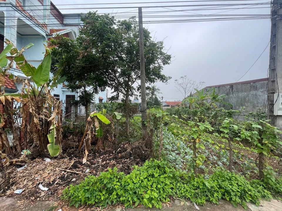 Đất nền 2 mặt tiền Giao Tiến 79m² giá 1.4 tỷ - Vị trí đắc địa sẵn sàng giao dịch!