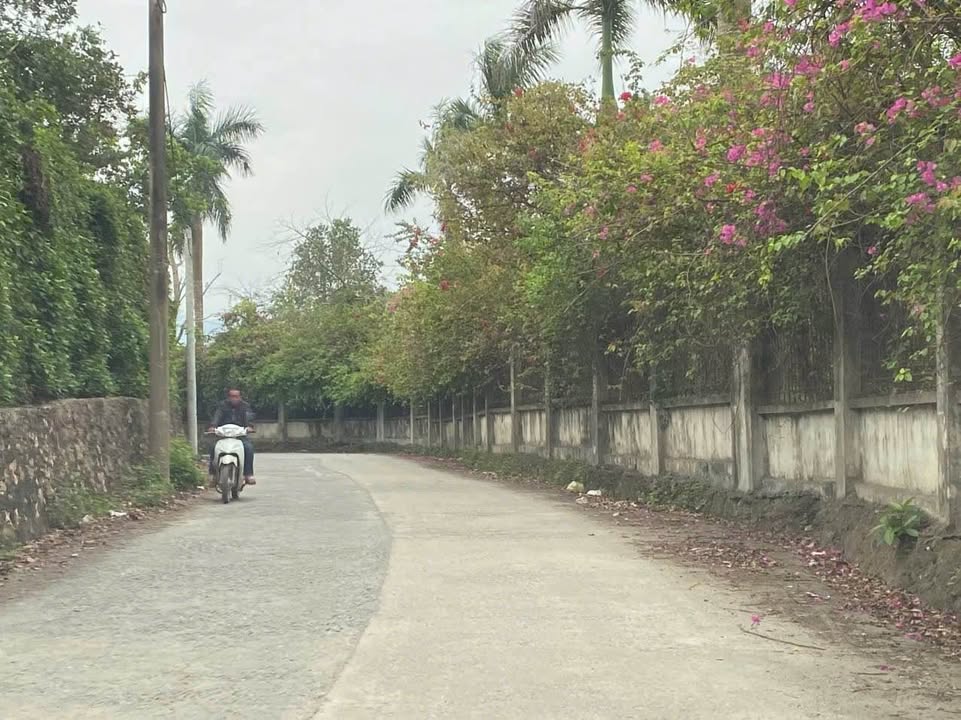 Đất nền chính chủ Chương Mỹ 320m² giá chỉ 2 tỷ - Đường lớn ô tô vào tận nơi!