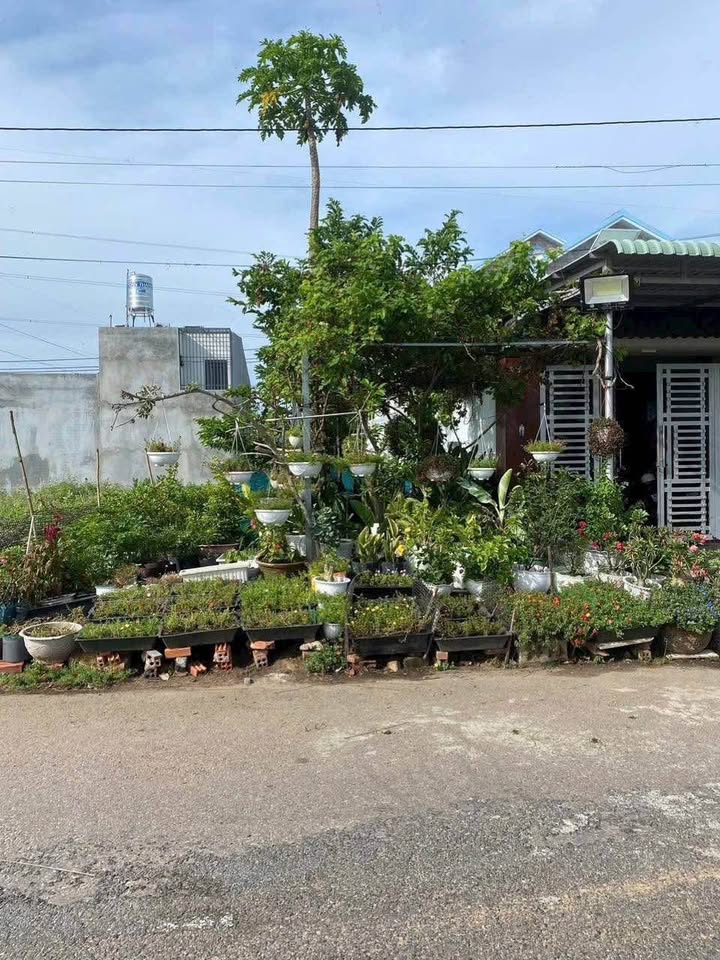 Đất thổ cư tái định cư Hàm Liêm 95m² giá chỉ 1.27 tỷ - Cơ hội đầu tư tuyệt vời!