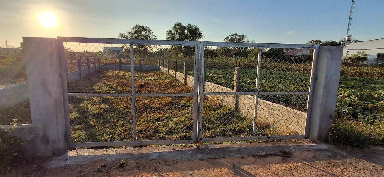 Đất thổ cư Phong Nẫm, Phan Thiết 140m² giá 590 triệu - Đường ô tô vào tận nơi!