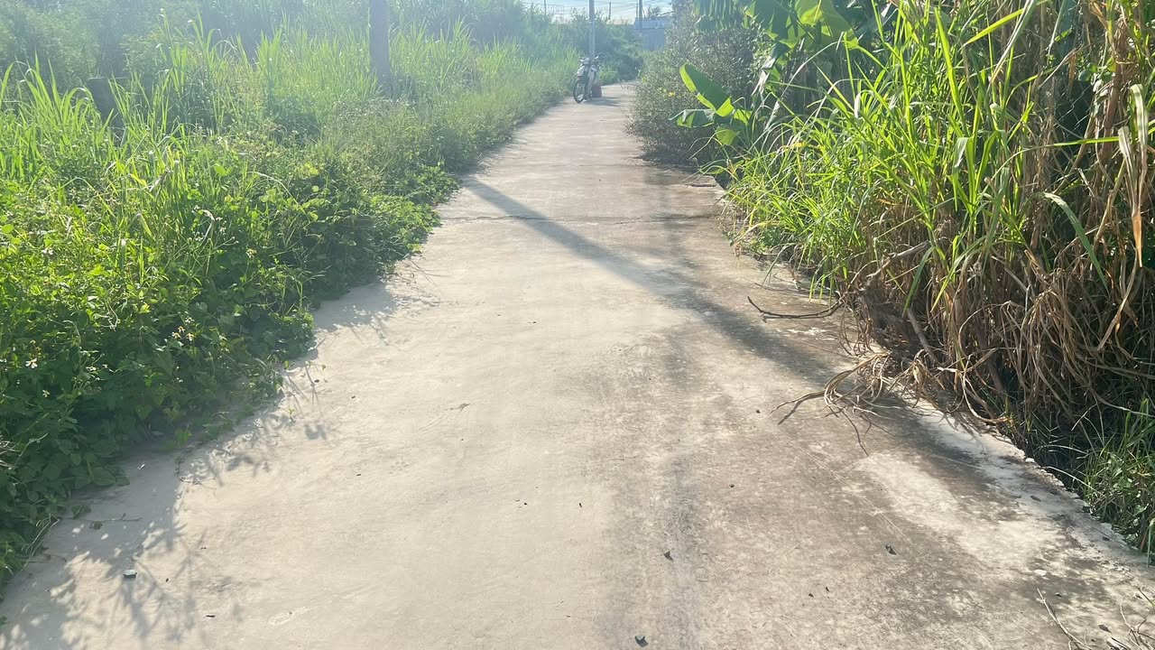 Đất thổ cư 800m² mặt tiền Ngô Đức Tốn - Cơ hội đầu tư hiếm có!