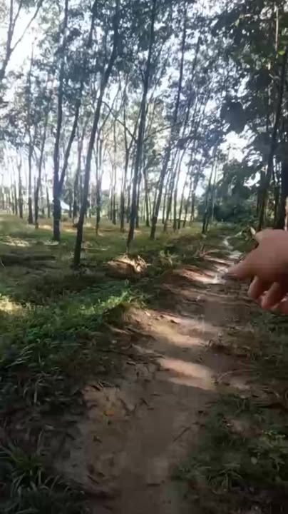 Đất nền 45000m² tại xã Đồng Tiến, Bình Phước - Giá chỉ 6 tỷ VND