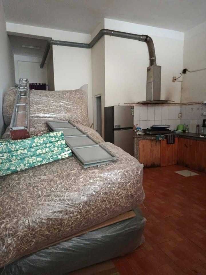 Nhà mặt tiền Tô Ngọc Vân, Đà Lạt 95m² giá 13 tỷ - Kinh doanh lưu trú siêu lợi nhuận!