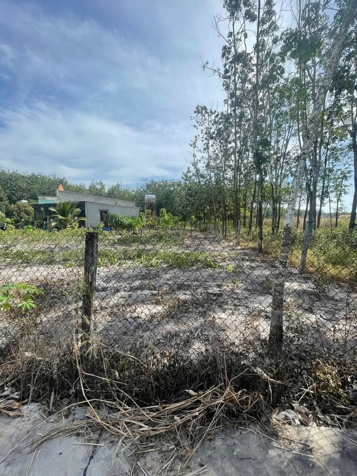 Đất nền Khu phố 10 Minh Hưng 550m² giá 900 triệu - Cơ hội đầu tư tuyệt vời!