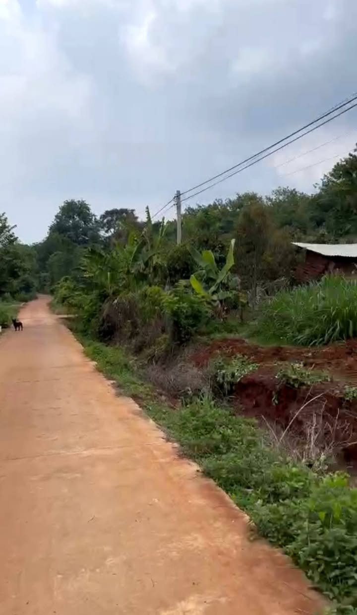 Đất nền 500m² mặt đường 13m tại Hưng Chiến, Chơn Thành - Giá chỉ 350 triệu!