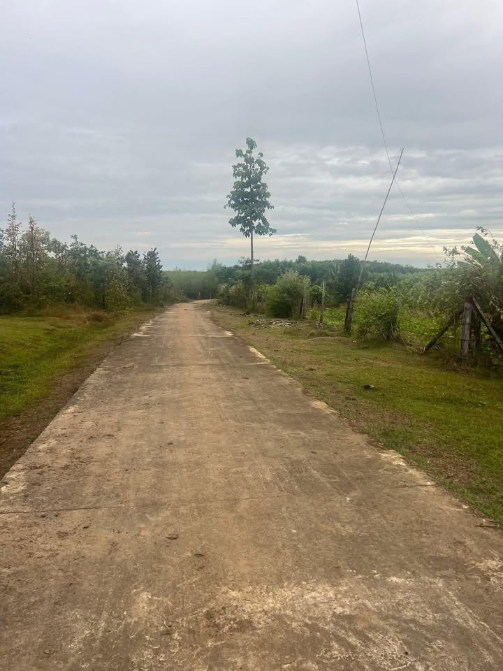 Đất nền ấp 6 Lộc Hưng, Lộc Ninh 1440m² giá 220 triệu - Cơ hội đầu tư tuyệt vời!