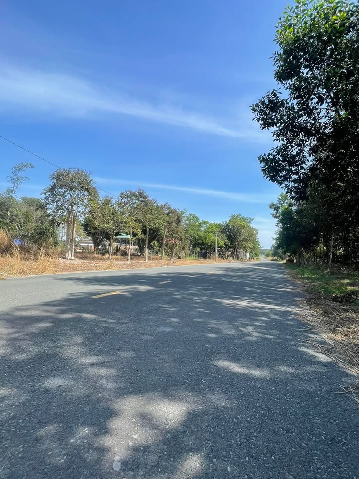 Đất nền mặt tiền Cao Bá Quát, Chơn Thành 190m² - Giá chỉ 700 triệu/lô