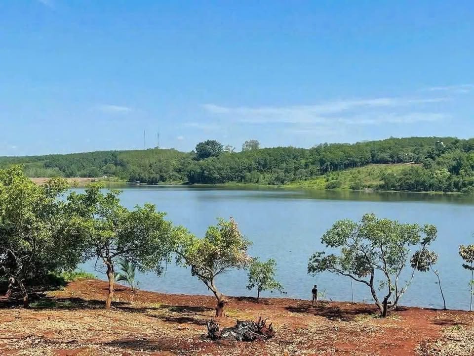 Đất Farm Ấp 4 Minh Lập 1.6ha giá 3 tỷ - Sẵn sàng xây dựng biệt thự ven sông!