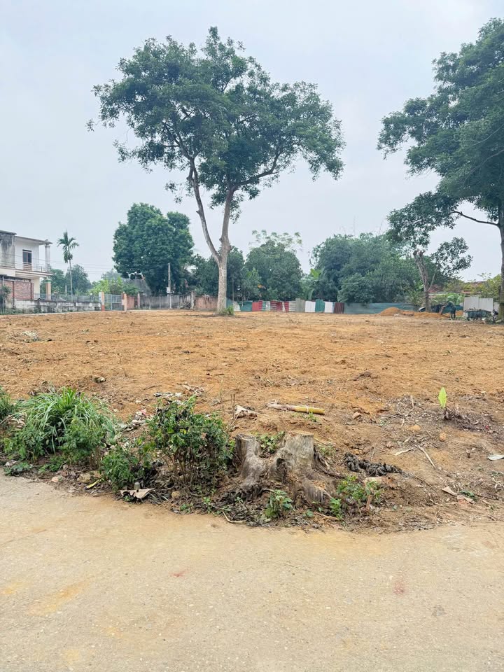 Đất thổ cư Thanh Đình Việt Trì 93m² giá 800 triệu - Đường to thông thoáng!