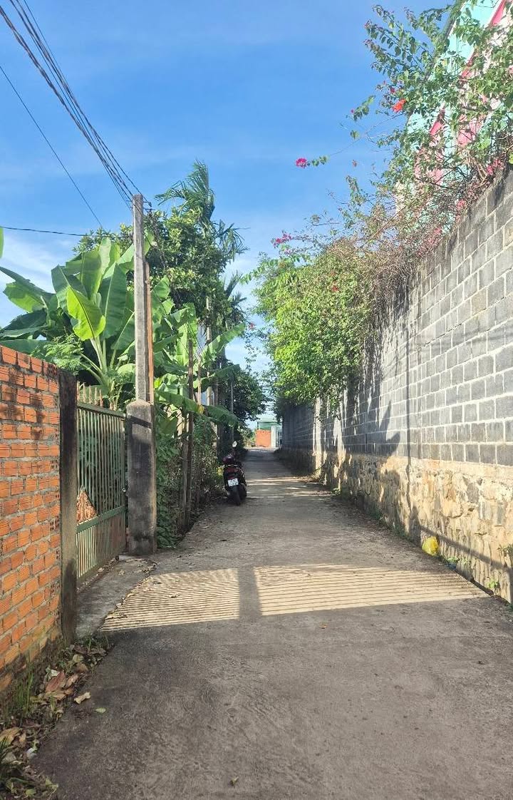 Đất Hòa Khánh 200m² giá 820 triệu - Đầu tư sinh lời ngay!