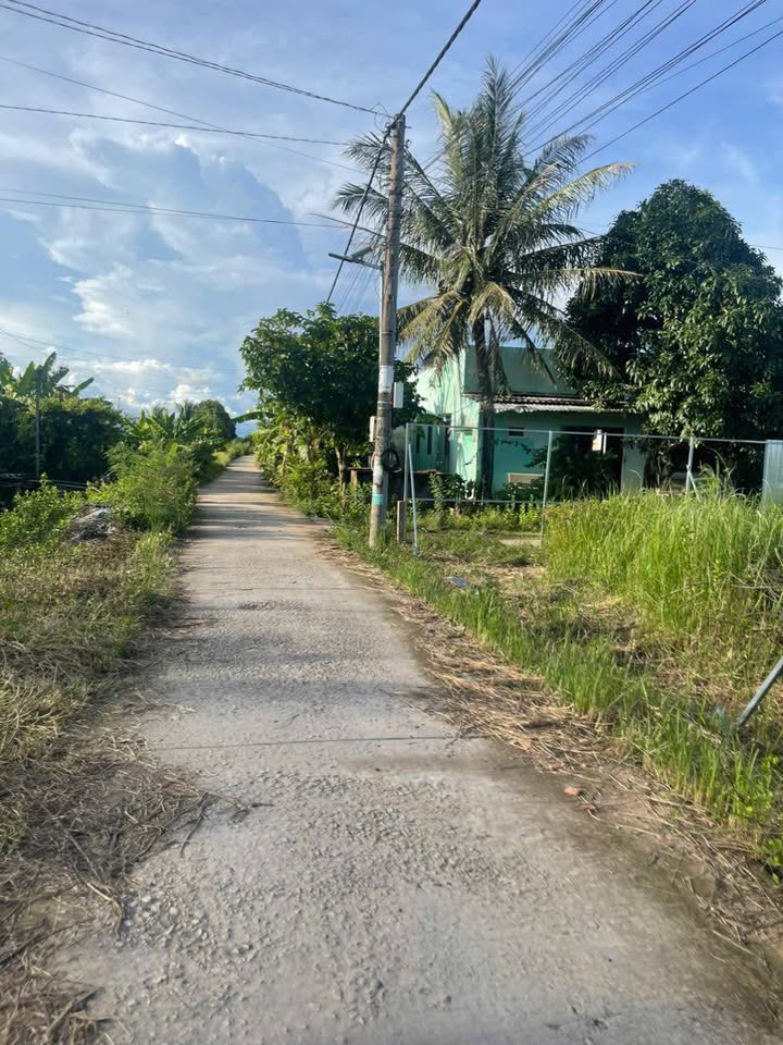 Đất nền Hiệp Thành Bạc Liêu 115m² giá 260 triệu - Sổ hồng chính chủ