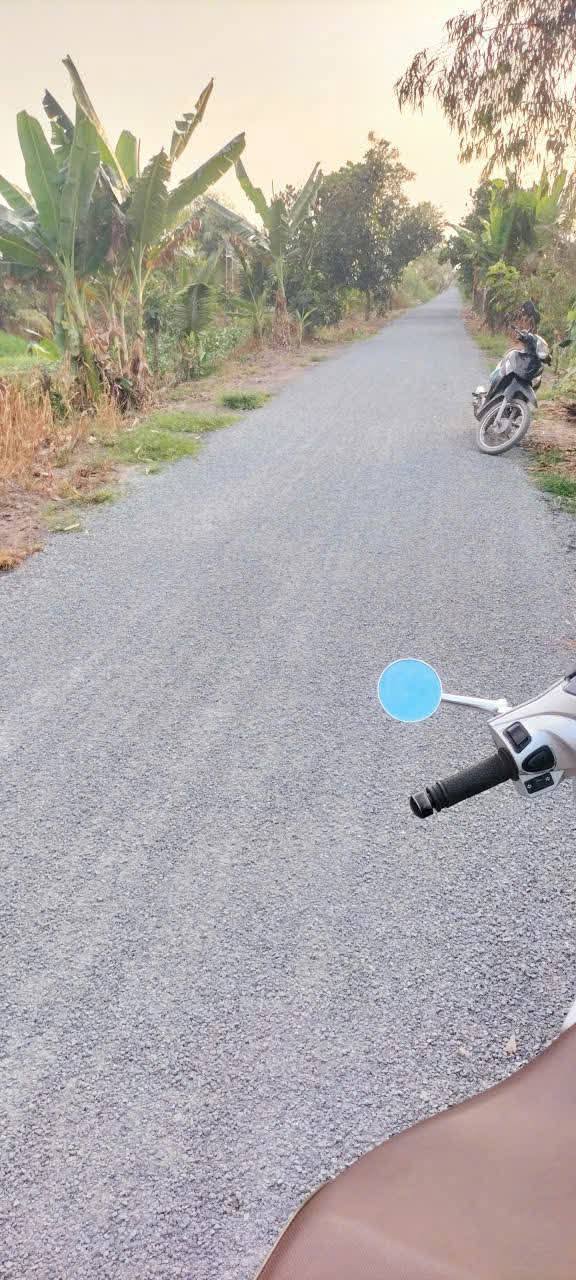 Đất ruộng 8 công mặt tiền 50m tại Phú Điền, Tháp Mười - Giá chỉ 3.04 tỷ!