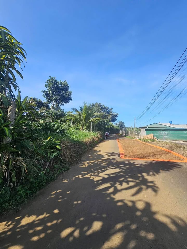 Đất Lộc An Bảo Lộc 1125m² giá 2.1 tỷ - Đầu tư sinh lời ngay hôm nay!