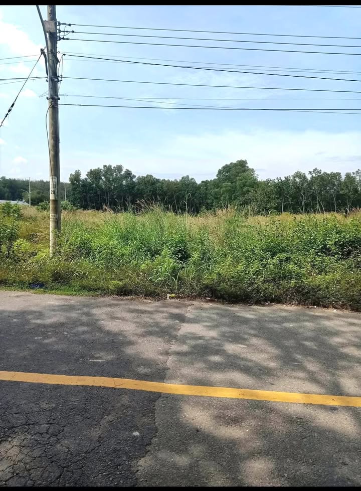 Đất thổ cư Phước Sang Phú Giáo 160m² giá 500 triệu - Cơ hội đầu tư tốt!