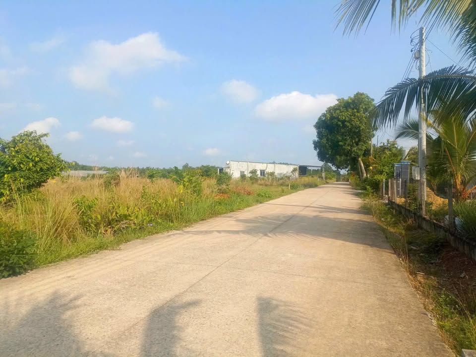 Đất nền Hẻm 26 Phước Vĩnh 310m² giá 1.25 tỷ - Đường lớn, dân cư đông đúc!