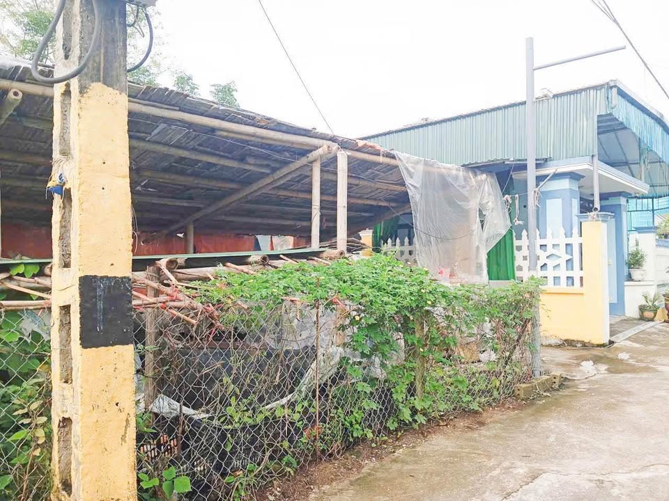 Đất nền Quảng Ngọc 124m² giá chỉ 500 triệu - Cơ hội vàng cho nhà đầu tư!