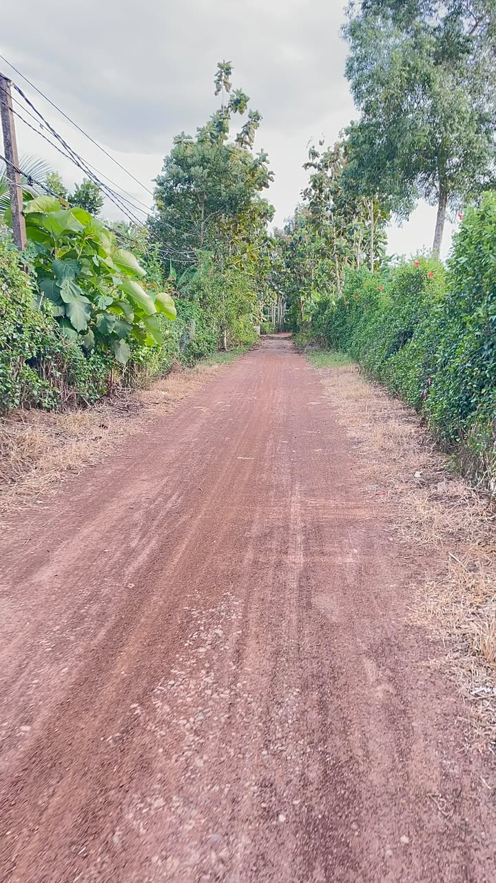 Đất nền Ngọc Định Định Quán 1000m² - Cơ hội đầu tư hấp dẫn!