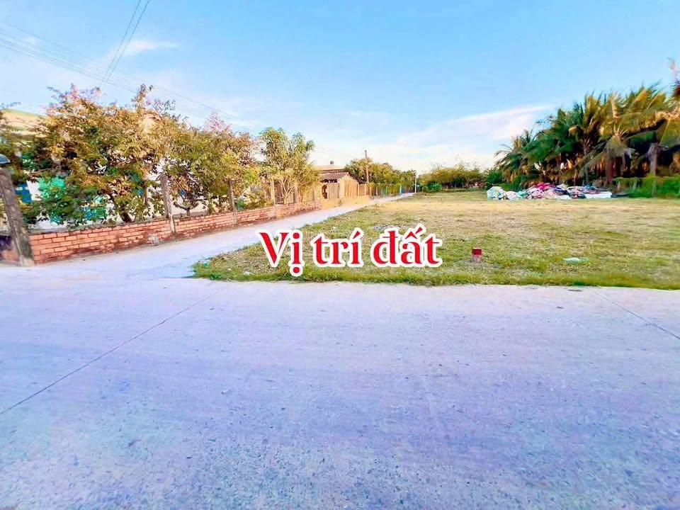 Lô đất thổ cư Tân Trụ 169m² giá 720 triệu - Đầu tư sinh lời ngay!