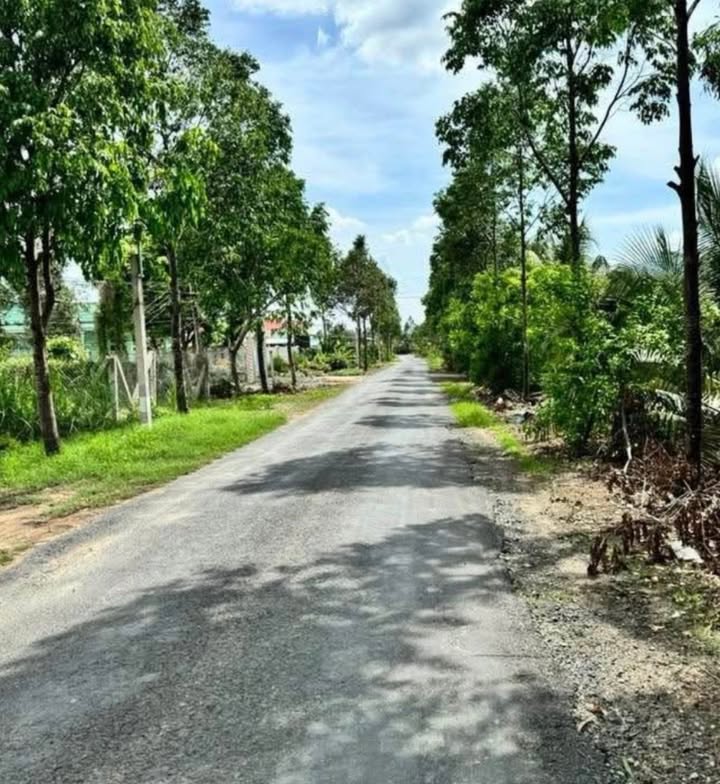 Đất thổ cư 585m² tại Lương Hòa, Bến Lức giá 5 tỷ - Đường nhựa 13m, đầu tư sinh lời!