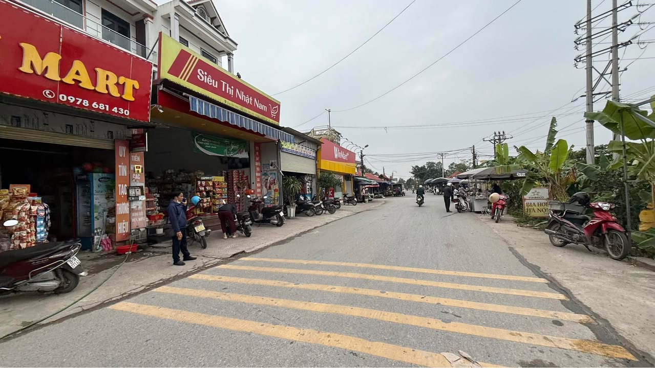 Đất thổ cư 100m² tại Yên Ninh, Sóc Sơn - Giá tốt hiếm có!