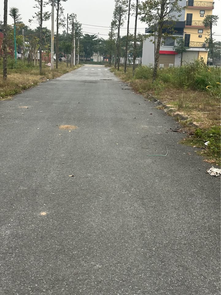 Đất đấu giá Tam Đồng Mê Linh 146m² giá 5 tỷ - Lô góc xẻ khe chính chủ!