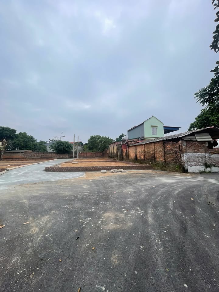 Đất nền Minh Trí 100m² giá 1.9 tỷ - Hàng hiếm, vị trí đắc địa!