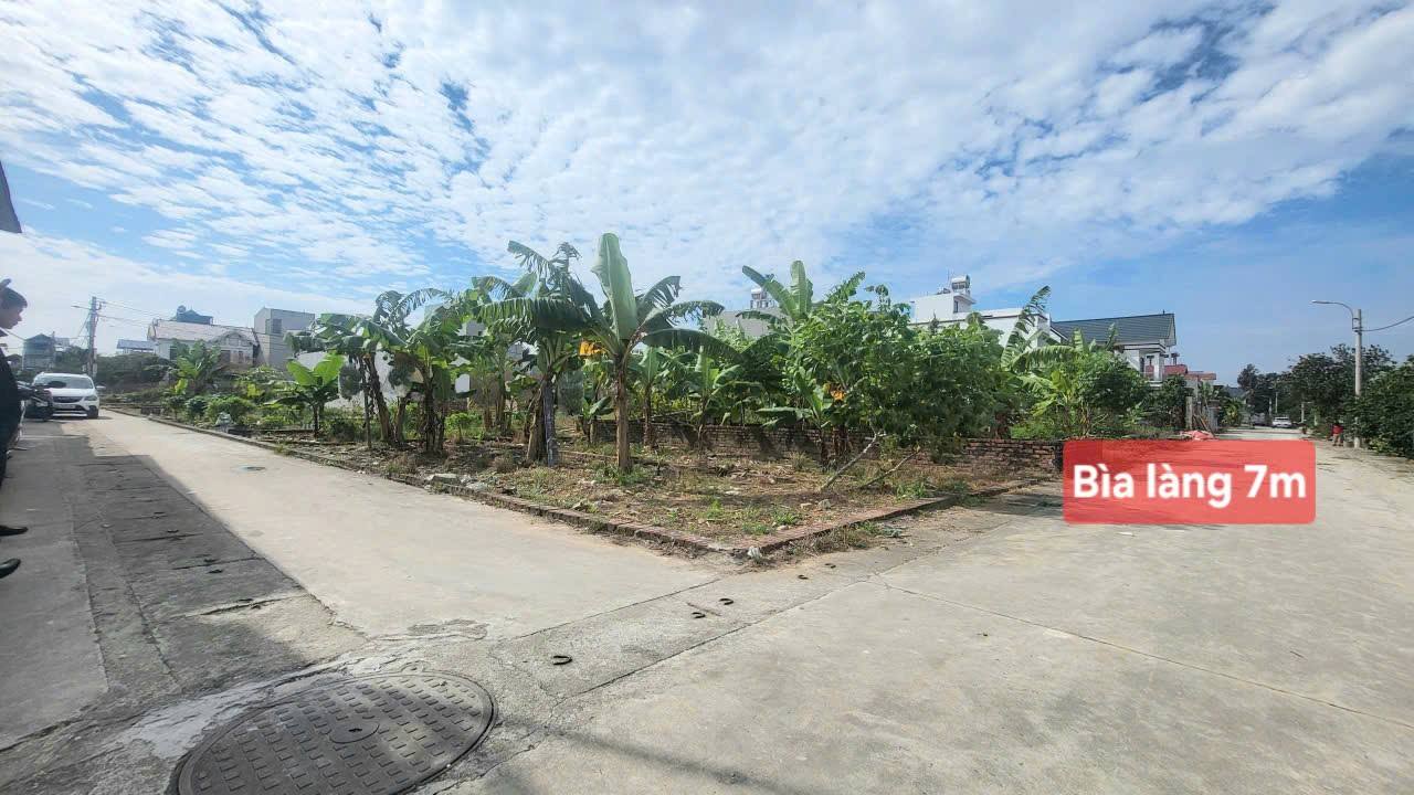 Lô Đất Góc Quang Minh Mê Linh 48.6m² giá 3.1 tỷ - Tiềm năng tăng giá mạnh!