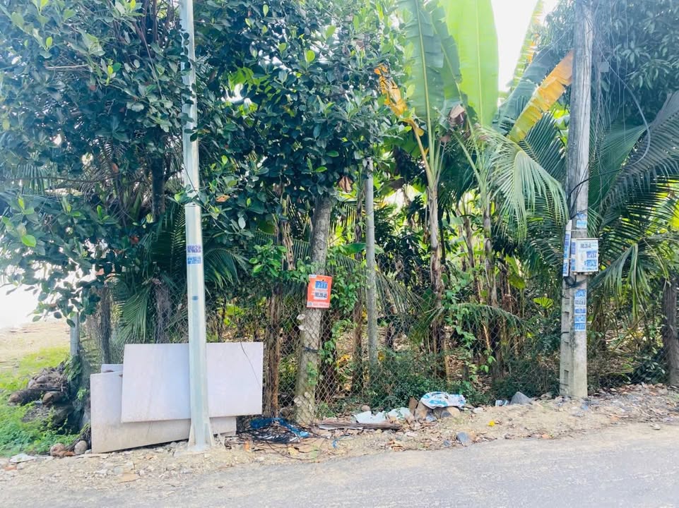 Đất nền mặt tiền đường Đất Phố, Diên An 148m² giá 1.6 tỷ - Cơ hội đầu tư tuyệt vời!