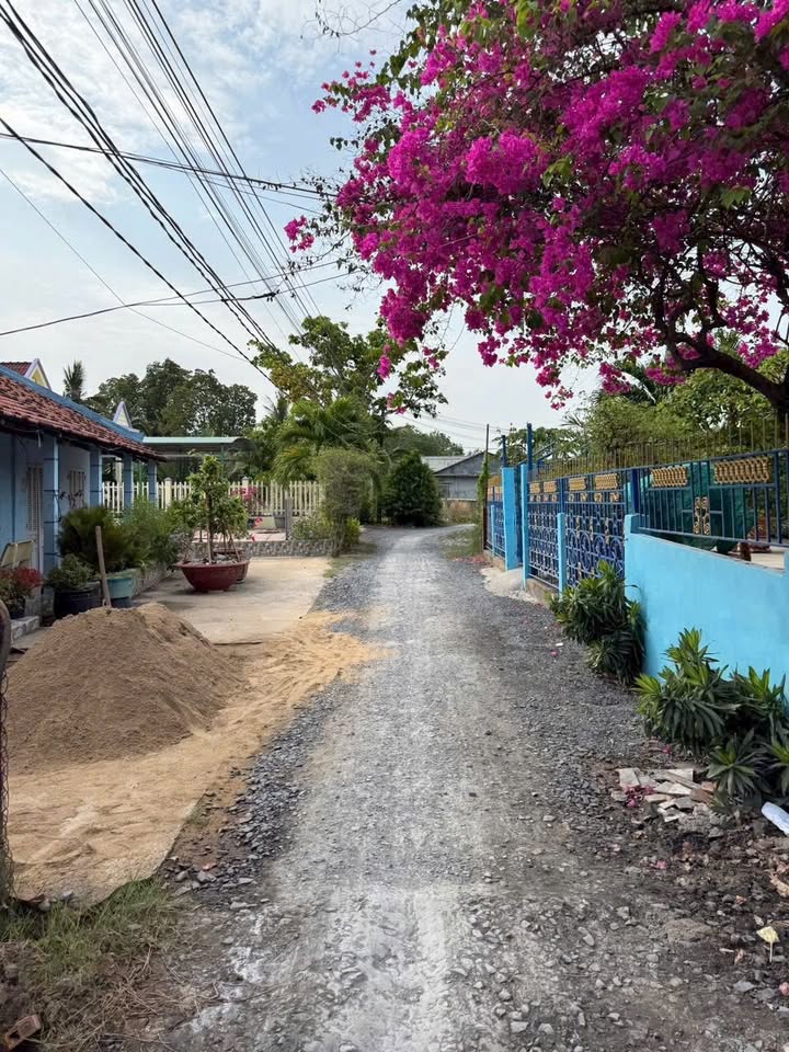 Đất vườn Tân Chánh, Cần Đước 325m² giá 350 triệu - Cơ hội vàng cho đầu tư!