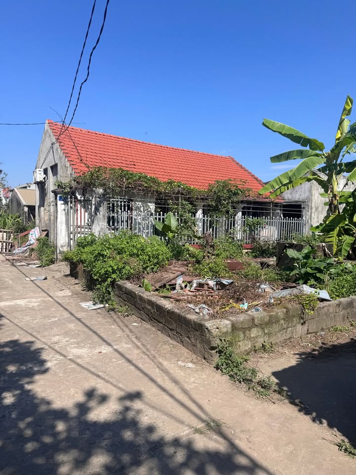 Đất lô góc tại Vân Tảo, Thường Tín 42m² - Đường ô tô đỗ cửa, giá tốt thỏa thuận!