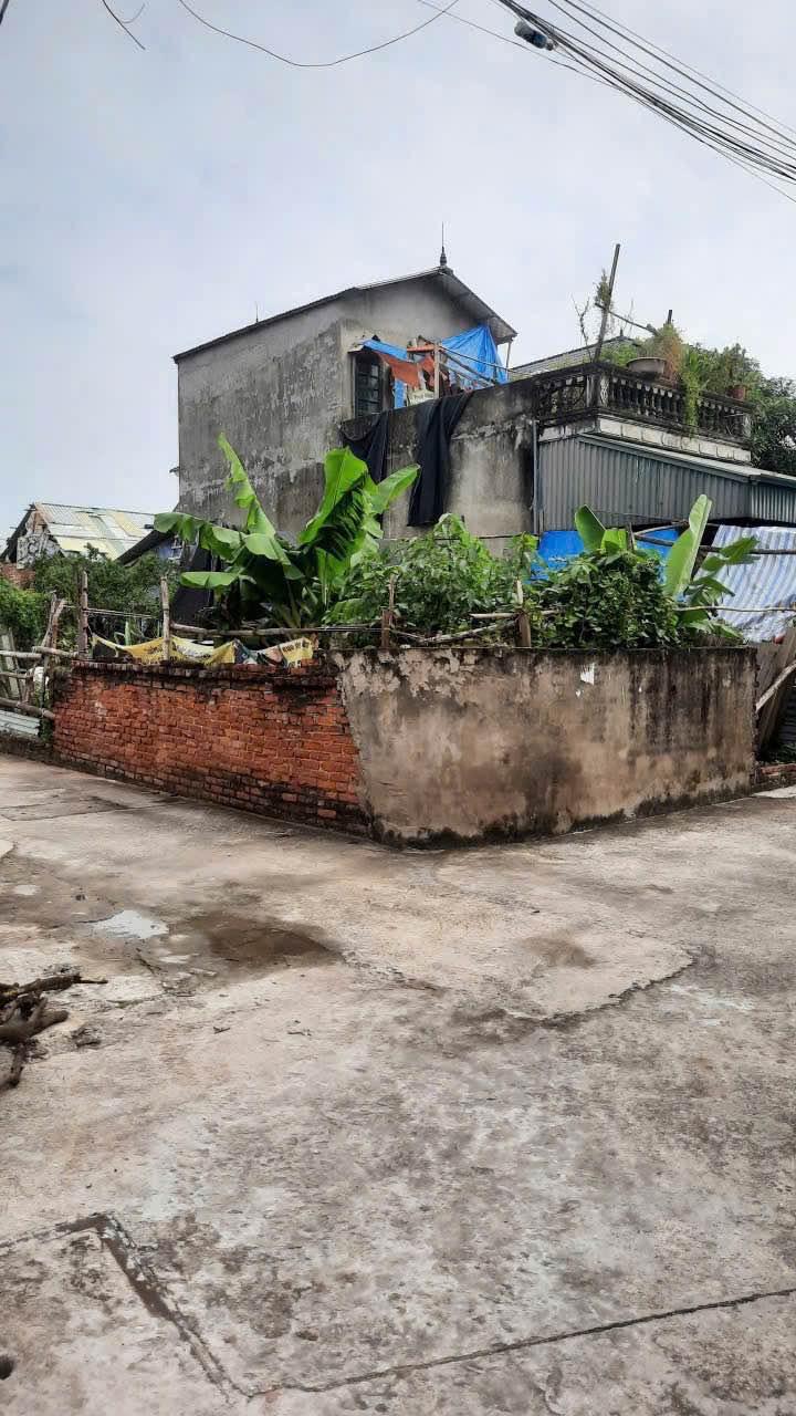 Đất nền thôn Kim Châu, Thanh Oai 127m² giá 5.092 tỷ - Lô góc 3 mặt thoáng!