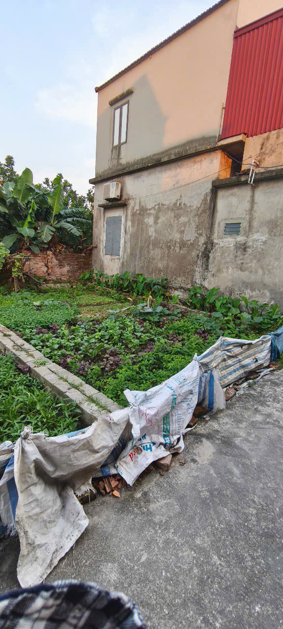 Đất nền Tri Trung, Phú Xuyên 40m² giá 1.8 tỷ - Cơ hội đầu tư tuyệt vời!