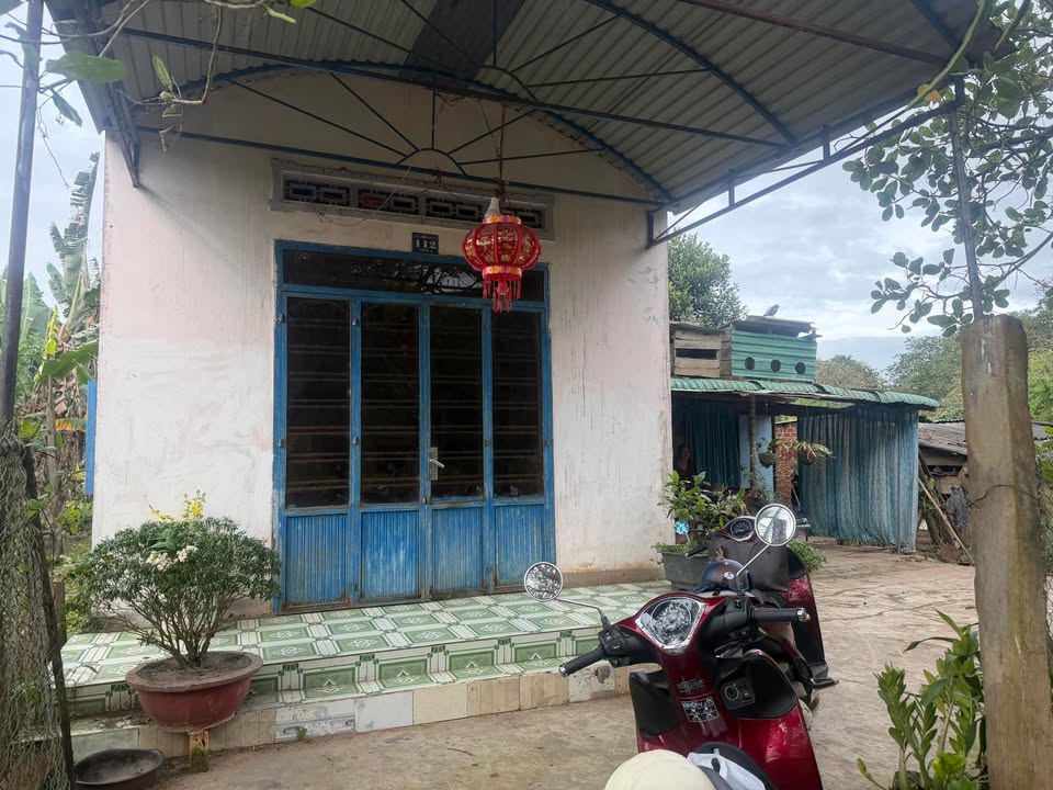 Đất nền 4000m² tại Ea Kly, Krông Pắc - Giá chỉ 1.2 tỷ, tiềm năng đầu tư lớn!