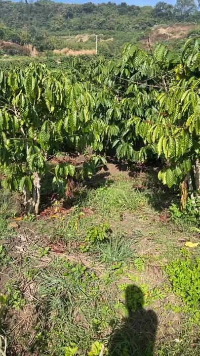 Đất nền Đan Phượng 16000m² giá 2 tỷ - Cơ hội đầu tư hấp dẫn!