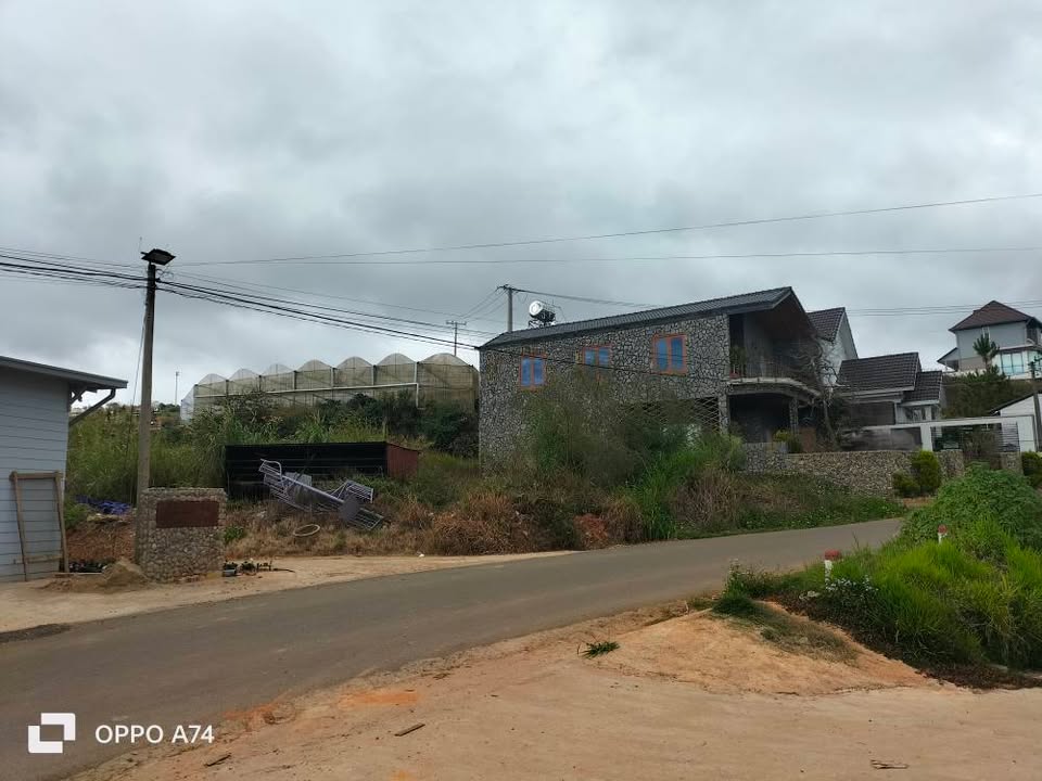 Đất nông nghiệp 1000m² đường Tập Đoàn, Đà Lạt giá đầu tư 6.4 tỷ - Sổ đỏ chính chủ!