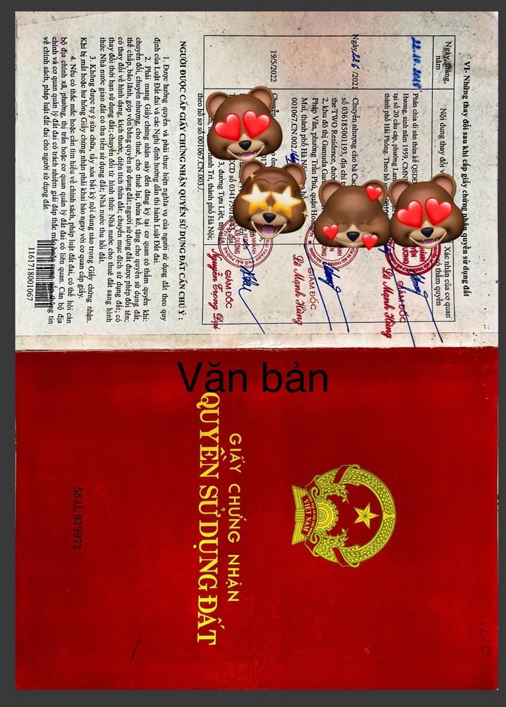 Đất nền 252m² tại Đồng Thái, An Dương, Hải Phòng - Chính chủ cần bán gấp!