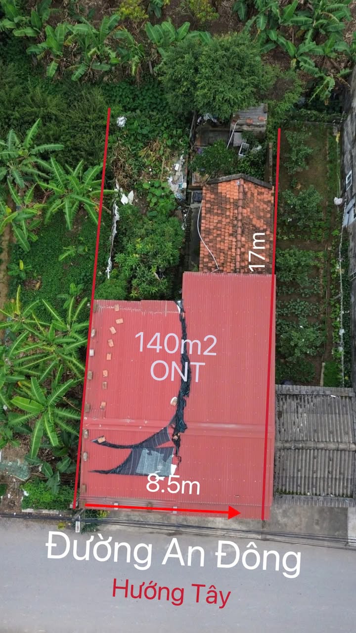 Đất mặt đường An Đông, xóm 3, Hải An 140m² giá 2.2 tỷ - Đầu tư sinh lời ngay!