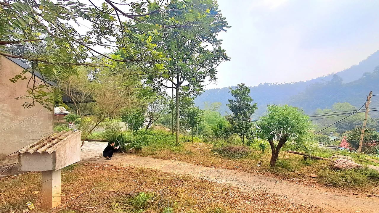 Đất nền Liên Sơn 700m² - Pháp lý rõ ràng, giá thỏa thuận hấp dẫn!