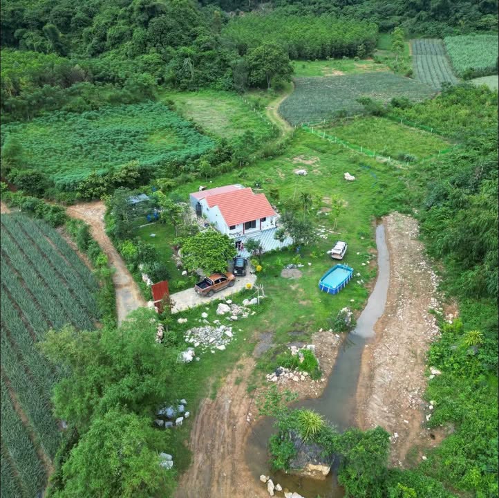 Đất nghỉ dưỡng 2200m² tại Đú Sáng, Kim Bôi, Hòa Bình - Cơ hội đầu tư tuyệt vời!