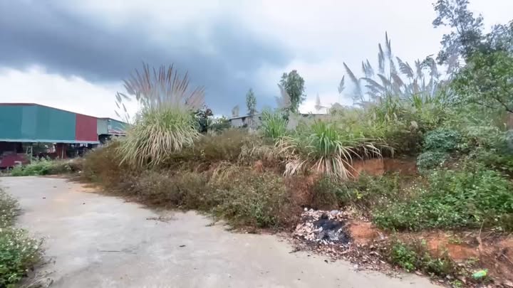 Đất ở Hà Khẩu, Hạ Long 99m² giá tốt cho nhà đầu tư nhỏ